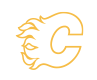 logo_flames